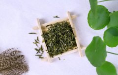 湿气重应该喝什么茶？